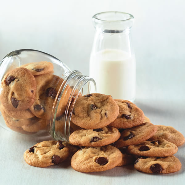 Mini Chocolate Chip Cookies